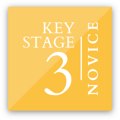 Icon for Townley Grammar's Key Stage 3 - Novice
