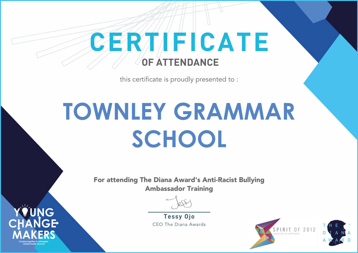 Diana Award's Anti-Racist Bullying Ambassador Training Certificate